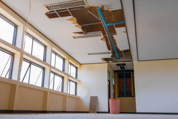 Best Water damage restoration process  in Melvindale, MI