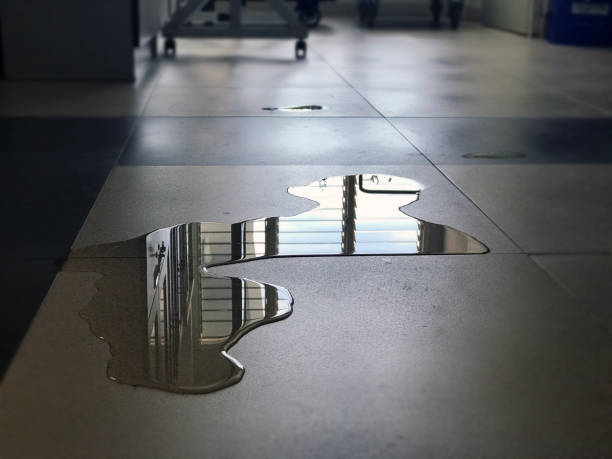 Best Carpet water damage restoration  in Melvindale, MI