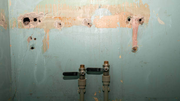 Best Emergency water damage restoration  in Melvindale, MI