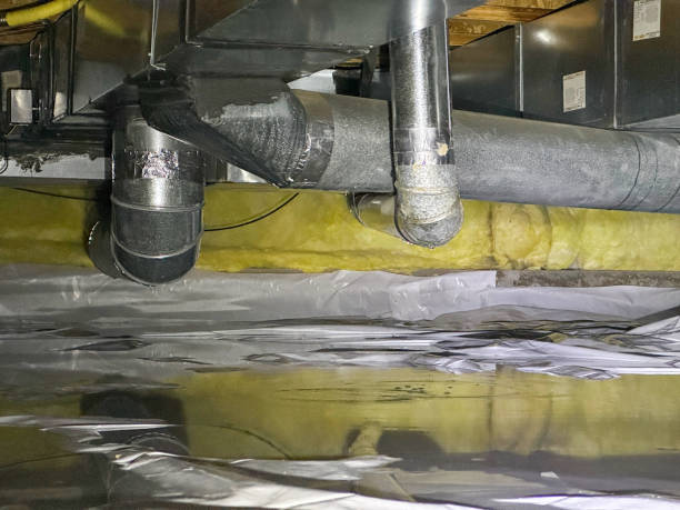 Best Ceiling water damage repair  in Melvindale, MI