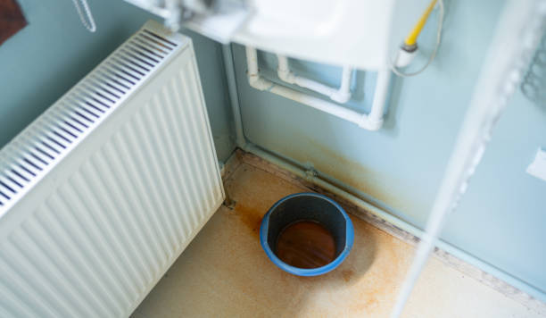 Best Water damage contractors near me  in Melvindale, MI