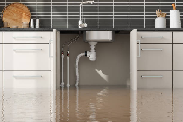 Best Ceiling water damage repair  in Melvindale, MI
